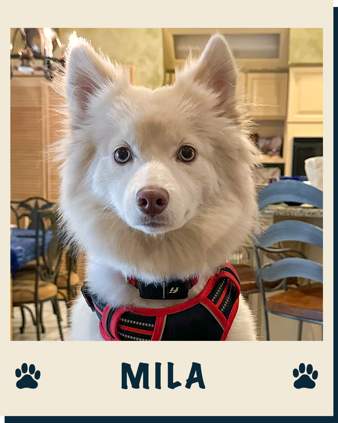 Mila